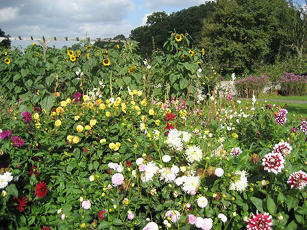 Gartendetail
